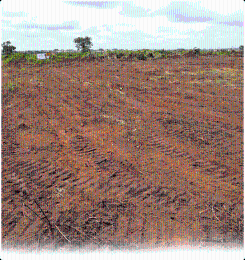 Mixed use Land For Sale Green Avenue Ibeju Lekki Lagos Ise Town Ibeju-Lekki Lagos Mixed use Land For Sale Green Avenue Ibeju Lekki Lagos Ise Town Ibeju-Lekki Lagos