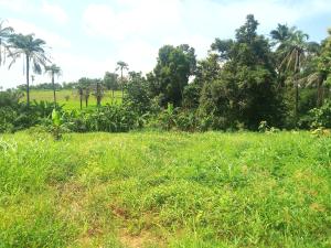 Residential Land For Sale Odobudo Nike Enugu Area 