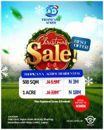 Residential Land For Sale Sharing Boundary With Ibeju Lekki Off Lagos Calabar Coastal Road Ode Omi Ogun Waterside 