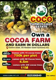 Land For Sale Ajebo Obafemi Owode Ogun