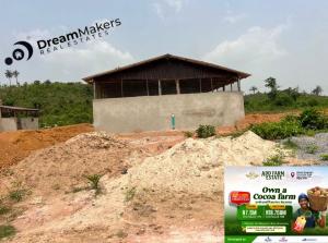 Commercial Land For Sale Add Farm City Estate Located At Oou Road Ago Iwoye Ake Ijebu North Ogun
