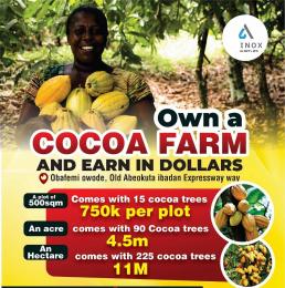 Residential Land For Sale Cocoa Farm Village Estate Obafemi, Owode Obafemi Owode Ogun