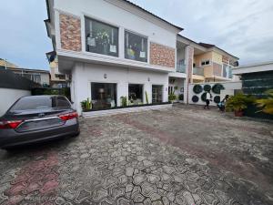 Mall/Complex/Plaza For Sale Close To Visa Office Lekki Phase 1 Lagos