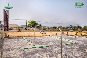 Land For Sale The Wealthy Place Estate Free Trade Zone Ibeju-Lekki Lagos