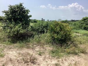 Commercial Land For Sale Sharing Fence With Dangote Fertilizer Company Free Trade Zone Ibeju Lekki Free Trade Zone Ibeju-Lekki Lagos