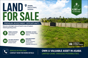 Commercial Land For Sale Okpanam Ibusa Road. Few Meters To The New Benin Onisha Express Way Oshimili North Delta