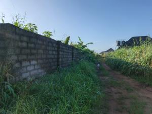 Residential Land For Sale Amakabo Avenue By White House Avu Owerri Imo