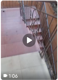 1 bedroom Mini Flat For Rent Nnpc Okeafa Oke-afa Isolo Lagos
