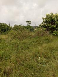 Residential Land For Sale Lekki Epe Express Way, Crown Estate Sangotedo, Novare Shopping Mall, Pan Atlantic University Eputu Ibeju-Lekki Lagos