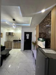 1 bedroom Mini Flat Short let 48 Olatilewa Street Off Ogunlana Drive Surulere Lagos