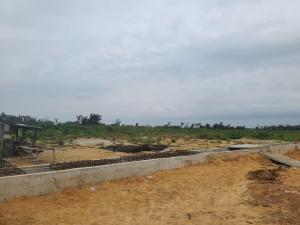 Residential Land For Sale Mafogunde Ibejulekki La Campaigne Tropicana Ibeju-Lekki Lagos