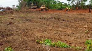 Land For Sale Akodo Ibeju Lekki Akodo Ise Ibeju-Lekki Lagos Land For Sale Akodo Ibeju Lekki Akodo Ise Ibeju-Lekki Lagos