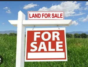 Residential Land For Sale Seaside Estate Baddre Ajah Badore Ajah Lagos