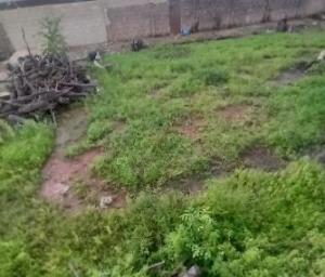Residential Land For Sale Seaside Estate Baddre Ajah Badore Ajah Lagos