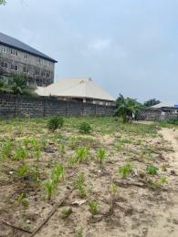 4 bedroom Land For Sale Lakowe, Lagos Nigeria Ajah Lagos 4 bedroom Land For Sale Lakowe, Lagos Nigeria Ajah Lagos