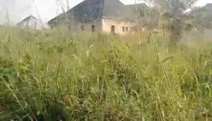 Mixed use Land For Sale Ogheghe Community Tarred Benin Edo