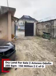 Land For Sale Tarred Road Amuwo Odofin Lagos