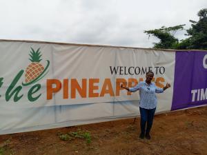 Residential Land For Sale The Pineapples Estate Agbowa Ikorodu Ogun Ogun area  Residential Land For Sale The Pineapples Estate Agbowa Ikorodu Ogun Ogun area