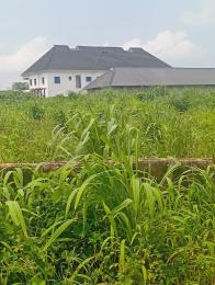 Residential Land For Sale Camp David Road Ayobo Ipaja Lagos Residential Land For Sale Camp David Road Ayobo Ipaja Lagos