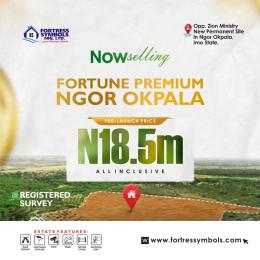 Land For Sale Directly Opposite Zion Ministry Ngor-Okpala Imo