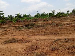 Residential Land For Sale Precious City Agbowa Ikorodu Ogun State Ogun Ogun area  Residential Land For Sale Precious City Agbowa Ikorodu Ogun State Ogun Ogun area