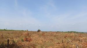 Residential Land For Sale Supreme Court Estate Phase 1 Ilara Epe Epe Lagos Residential Land For Sale Supreme Court Estate Phase 1 Ilara Epe Epe Lagos