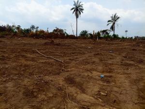 Residential Land For Sale Ibile City & Resort Imota Ikorodu Ogun Ogun area  Residential Land For Sale Ibile City & Resort Imota Ikorodu Ogun Ogun area