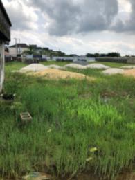 Residential Land For Sale Camberwall Estate Abijo Ajah Lagos