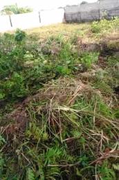 Residential Land For Sale Havens Court Estate, Abule Oluwa Abijo Ajah Lagos Residential Land For Sale Havens Court Estate, Abule Oluwa Abijo Ajah Lagos