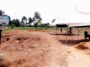 Mixed use Land For Sale Ikorodu Gardens Phase 1, With No Hidden Charges Located In Imota Ikorodu Lagos