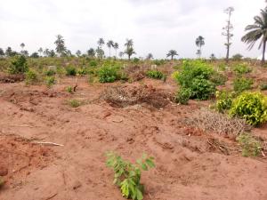 Mixed use Land For Sale Richpalms Estate Phase 2 Strategically Located In Monastery Road Sangotedo Lagos
