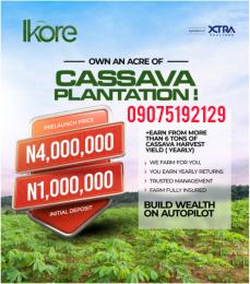 Land For Sale Wasimi Ado Iwaye Iseyin Iseyin Ibadan Oyo