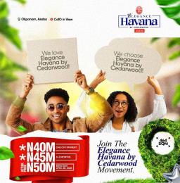 Residential Land For Sale Ogbeozoma, Okpanam, 7 Minutes Drive From Asàba International Airport, Okpanam City Gate Asaba Delta