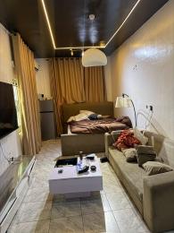 1 bedroom Self Contain For Rent Cyberville Estate Ikate Lekki Lagos