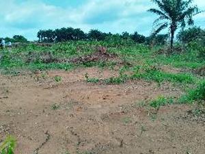 Commercial Land For Sale Grace Polytechnic Lagos State Film City Epe Resort Augustine University Alaro City Simi Lagos New International Airport Lagos State Food Hub Epe Lagos Commercial Land For Sale Grace Polytechnic Lagos State Film City Epe Resort Augustine University Alaro City Simi Lagos New International Airport Lagos State Food Hub Epe Lagos