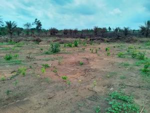 Land For Sale 👉grace Polytechnic 👉lagos State Film City 👉epe Resort Epe Lagos Land For Sale 👉grace Polytechnic 👉lagos State Film City 👉epe Resort Epe Lagos