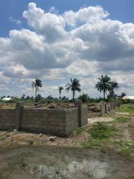 Residential Land For Sale Eneka Igbo Etche Link Road Eneka Port Harcourt Rivers