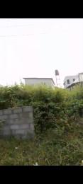 Residential Land For Sale Peace Estate Ogombo Ajah Lagos