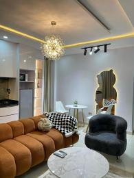 1 bedroom Mini Flat Short let Ikate Elegushi Lekki Lagos 1 bedroom Mini Flat Short let Ikate Elegushi Lekki Lagos