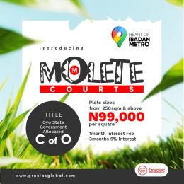 Residential Land For Sale Molete Courts, Molete Ibadan Oyo
