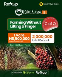 Commercial Land For Sale Palm Crest Phase 3 Iseyin Oyo State Iseyin Ibadan Oyo