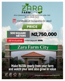 Commercial Land For Sale Apa Community Imodi Off Ikorodu Ijebu Ode Road Ogun State Ijebu Ode Ogun