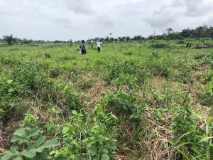 Mixed use Land For Sale Monarch City By Cedarwood Aba Aba South Abia