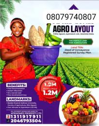 Mixed use Land For Sale Ayamelum Anambra