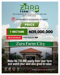 Commercial Land For Sale Apa Community Imodi Off Ikorodu Ijebu Ode Road Ogun State Ijebu Ode Ogun
