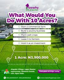 Mixed use Land For Sale Alapako Obafemi Owode Ogun State Alapakooni Obafemi Owode Ogun