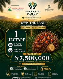 Commercial Land For Sale Flourish Oil Palm City Phase 2 Supported By Nigerian Institute Of Oil Palm Research Biase Cross River