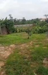 Land For Sale Ibafo / Mfm Obafemi Owode Ogun