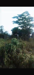 Residential Land For Sale Ifedapo Estate, Abuja Ibeshe Ibeshe Ikorodu Lagos