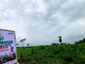Commercial Land For Sale Alphamark Farm City Extension Omu Ijebu Close To Food Logistics Hub Odogbolu Ogun